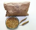 Коллекционный образец яровой мягкой пшеницы