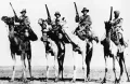 Солдаты Имперского верблюжьего корпуса