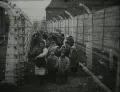Эвакуация детей – узников концлагеря Аушвиц. Январь 1945. 