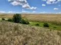 Балка в типично степном ландшафте на предгорной равнине в Буртинской степи Оренбургского заповедника (Оренбургская область, Россия)