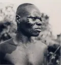 Тив. Мужчина со следами скарификации на лице, шее и груди. Южная Нигерия