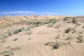 Природный заповедник «Убсунурская котловина». Песчаная пустыня Цугээр-Элс (Республика Тыва)