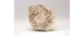 Кристалл воробьевита на альбите. Экспонат из коллекции минералов Национального музея естественной истории (Вашингтон, США)