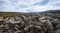 Каменное море на архипелаге Фолклендские острова