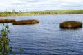 Природный заповедник «Малая Сосьва». Озеро Хане-Тув (Ханты-Мансийский автономный округ)