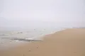 Песчаный пляж побережья Северного моря (Бельгия)