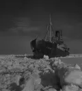 Ледокольный пароход «Георгий Седов» на зверобойном промысле