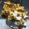 Самородное золото в кварце