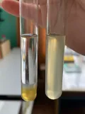 Лабораторные исследования мёда. Слева – реакция на падевый мёд, справа – на цветочный
