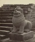 Статуя льва-синга. Святилище Боробудур (Центральная Ява, Индонезия). Конец 8 – начало 9 вв. Фото: Исидор ван Кинсберген. 1873