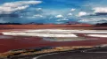 Озеро Лагуна-Колорада (Боливия)