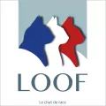 Логотип ассоциации кошек Франции (LOOF)