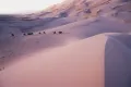 Гоби. Песчаные массивы (Монголия)