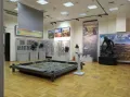 Современная экспозиция Музея антропологии. Второй зал «Ранние этапы антропогенеза»