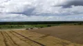 Курская область. Сбор зерновых на растениеводческом предприятии ГК «Агропромкомплектация»