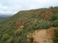 Латерит кайнозойского возраста, перекрывающий триасовые песчаники (Национальный парк имени Ш.-А. Лесюёра, Западная Австралия)
