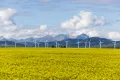 Производство энергии с помощью ветряных мельниц на поле рапса возле Пинчер-Крик, Альберта (Канада)