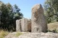 Изваяния из мегалитического комплекса Филитоса, Южная Корсика