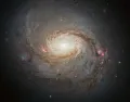 Сейфертовская галактика NGC 1068 (M77)