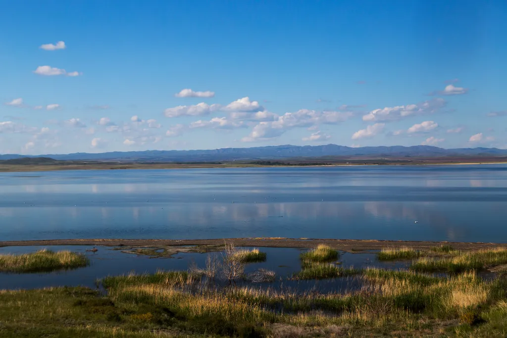 Иртыш в казахстане фото