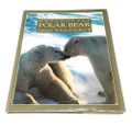 World of the polar bear