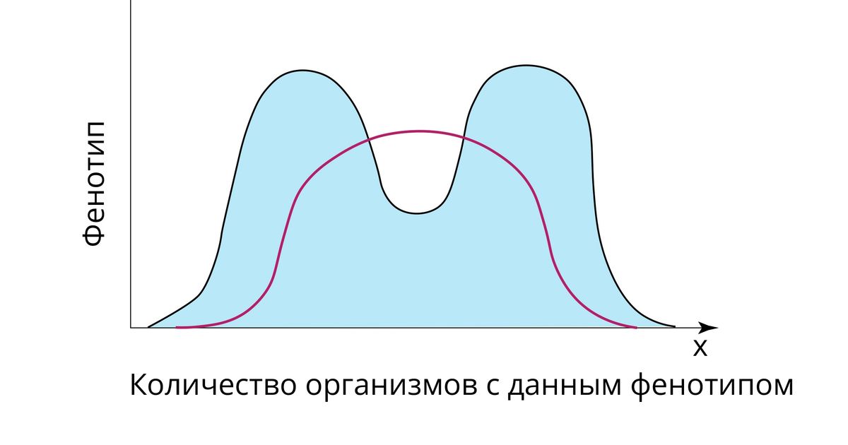 Дизруптивный отбор картинки