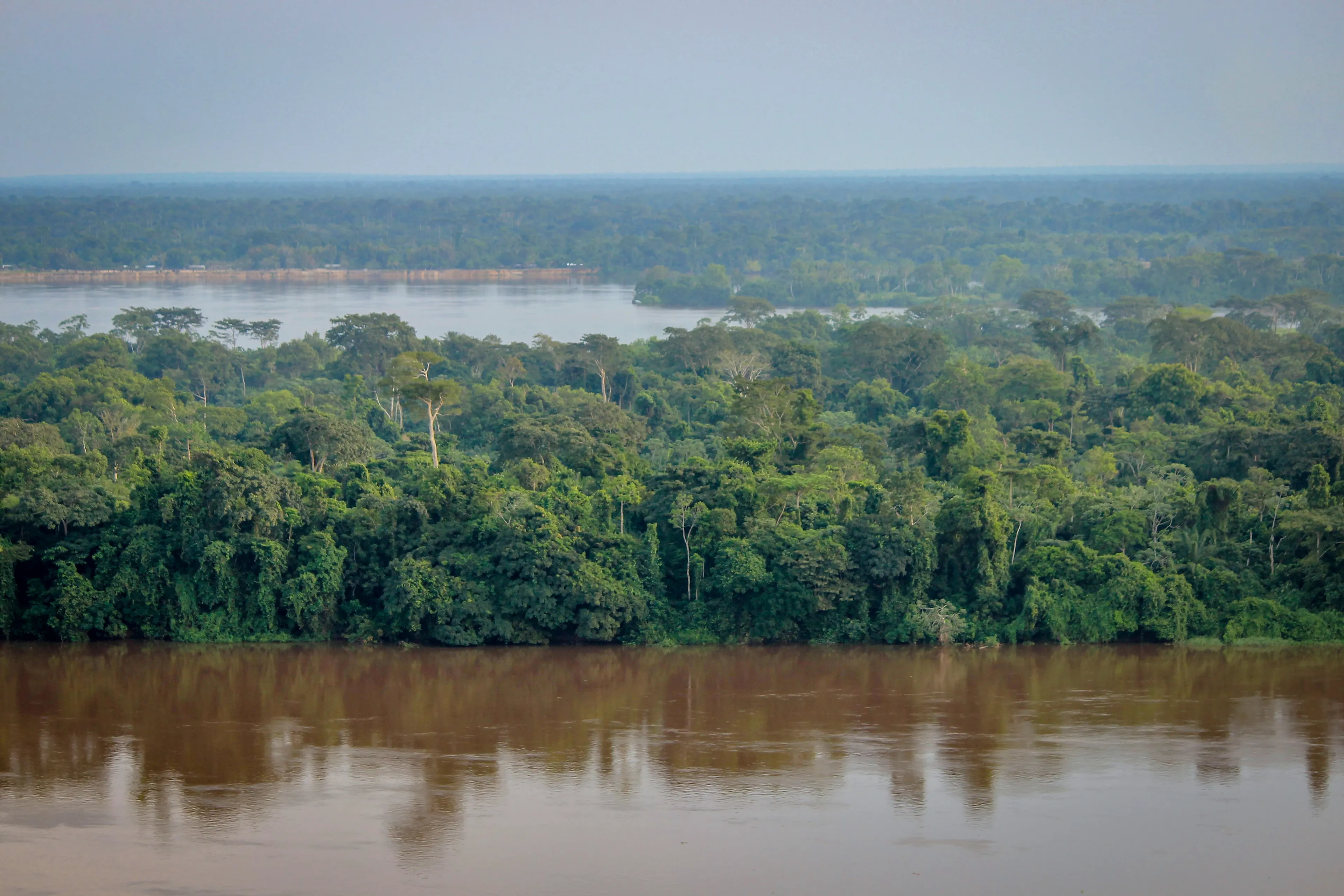 Рассказ река конго. Конго Африка. Река Конго национальный парк Салонга. Демократическая Республика Конго климат. Река Луалаба.