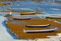 Культивирование водорослей на острове Нуса-Лембонган (Индонезия). Аквакультура